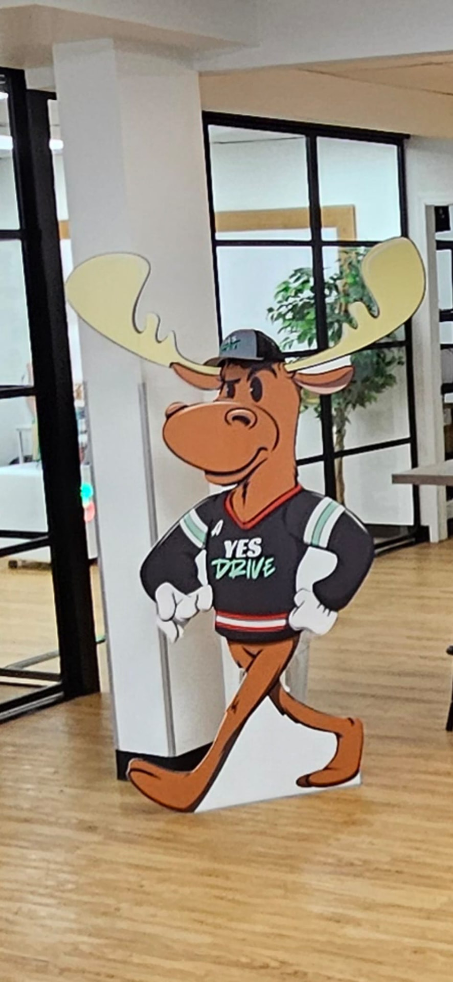 A cut-out Yes Drive moose character standing in the office